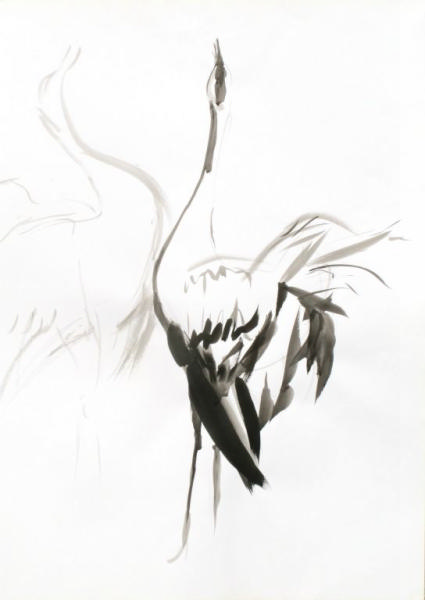6 Encre